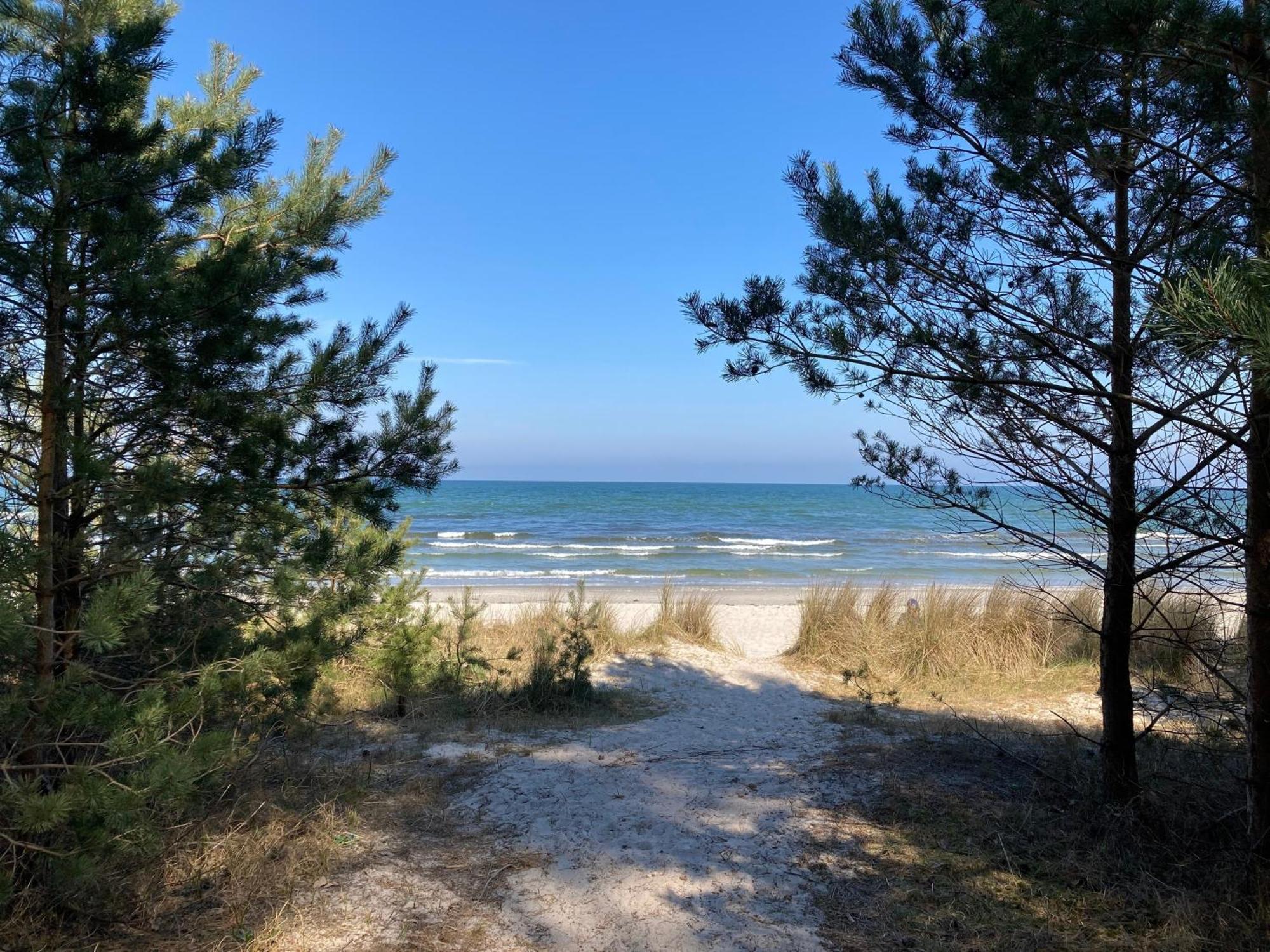 Apartment Prora - Strandgut Ostseebad Binz